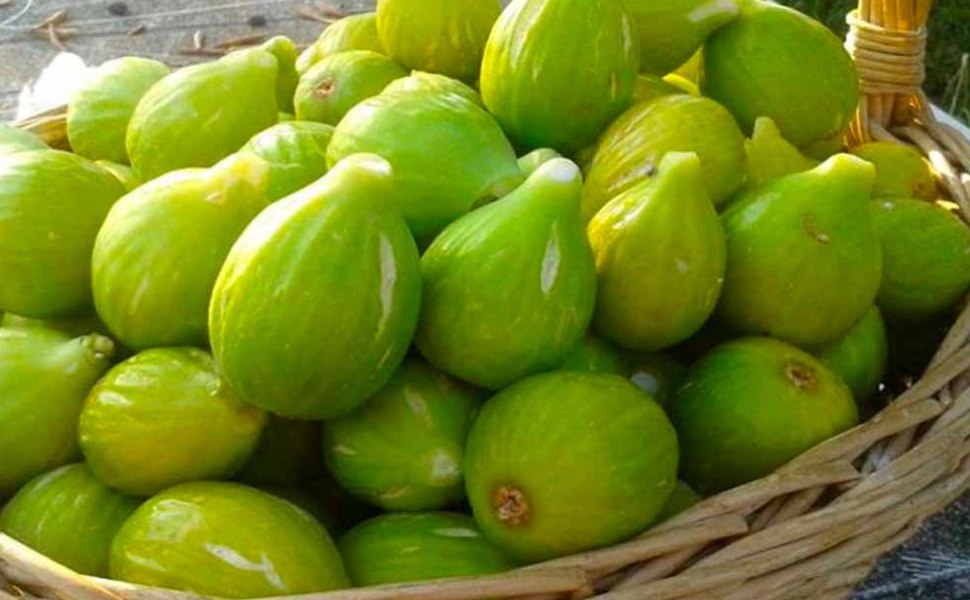 cesto di fichi