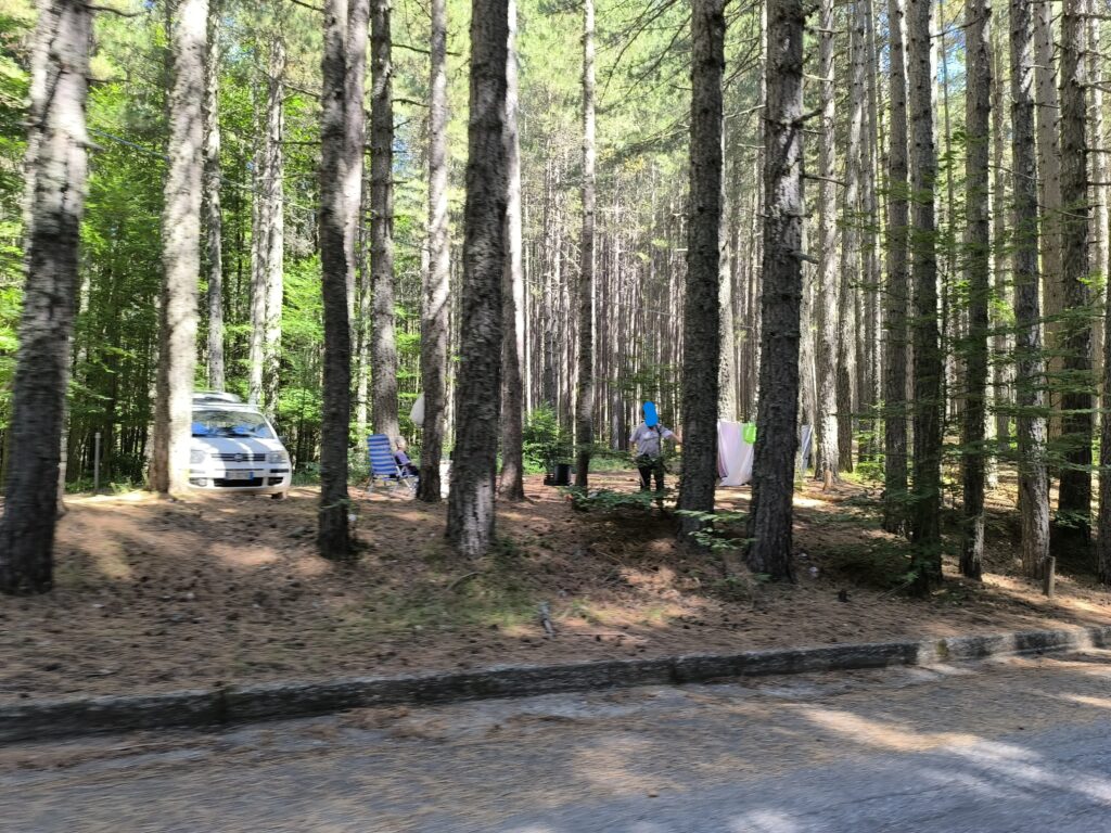 Ferragosto: a Camigliatello, polizia locale e carabinieri forestale, contro l’abbandono dei rifiuti 2 foto barbecue