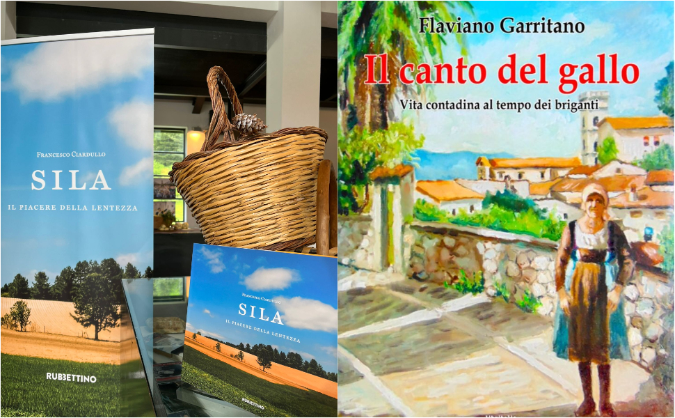 letture sambucina sila e canto gallo