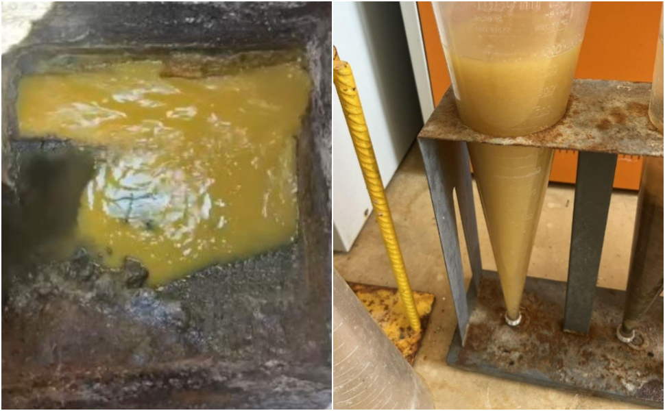 refluo giallo coda di volpe rende 02