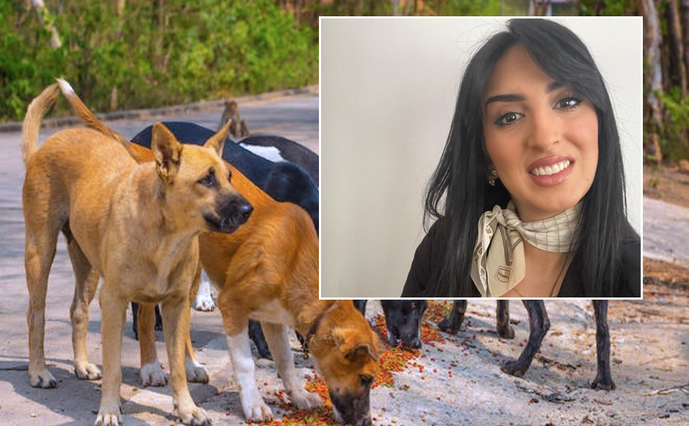 Cani randagi Schiavonea