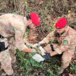 Carabinieri Droga - scoperte due Piantagioni