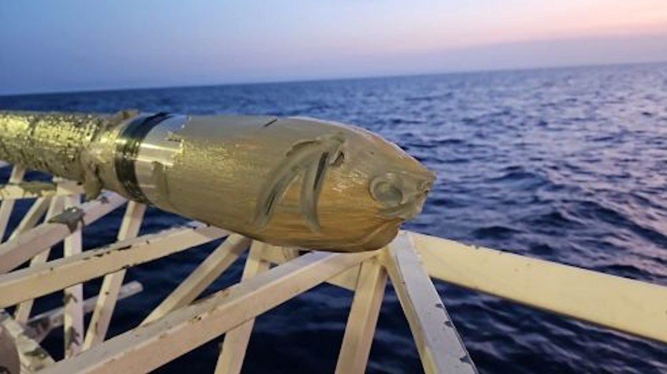 Vulcani di fango nelle profondità del mar Ionio. Un sistema di faglie allontana la Calabria dalla Sicilia 57 Carotaggio Mar ionio