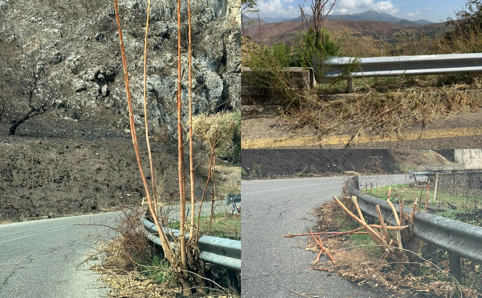 Cassano-allo-Ionio_sporcizia-strade