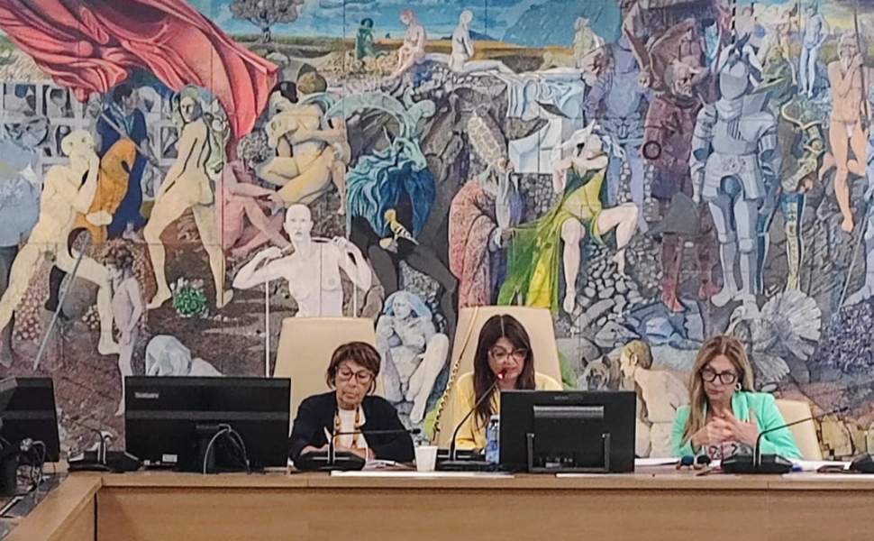 La Calabria si dota del primo piano per migliorare la qualità di vita degli anziani 51 Commissione-Sanita