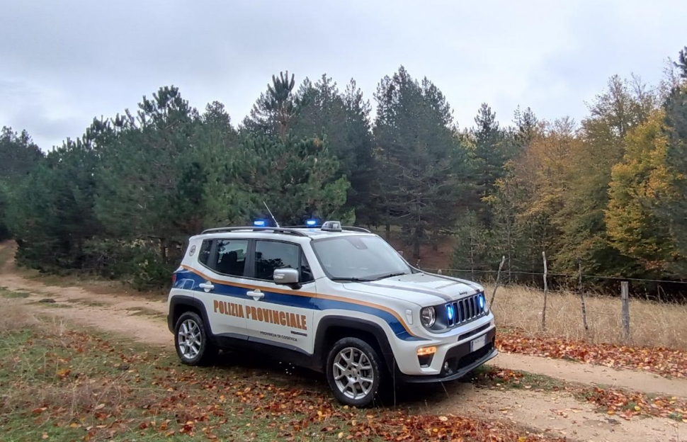 Pesticidi e diserbanti usati in maniera irregolare: maxi-sanzioni nella Sila cosentina 56 Polizia provinciale