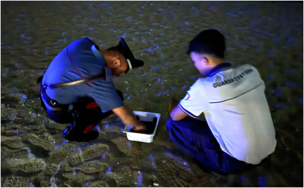 carabinieri-e-capitaneria.