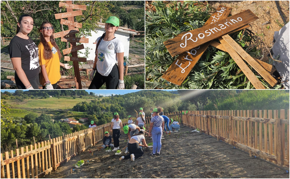 carolei contadini progetto