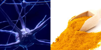 curcuma-Sma