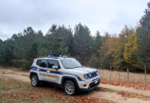 polizia provinciale sila