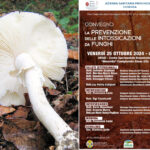 Funghi Asp Cosenza Prevenzione