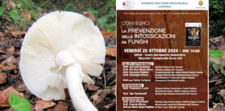 Funghi Asp Cosenza Prevenzione