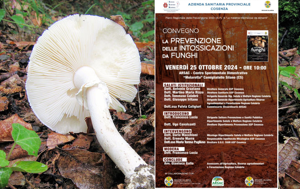 Funghi Asp Cosenza Prevenzione