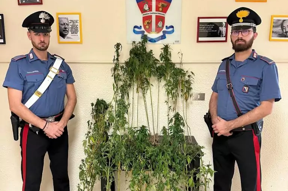 Marijuana Carabinieri