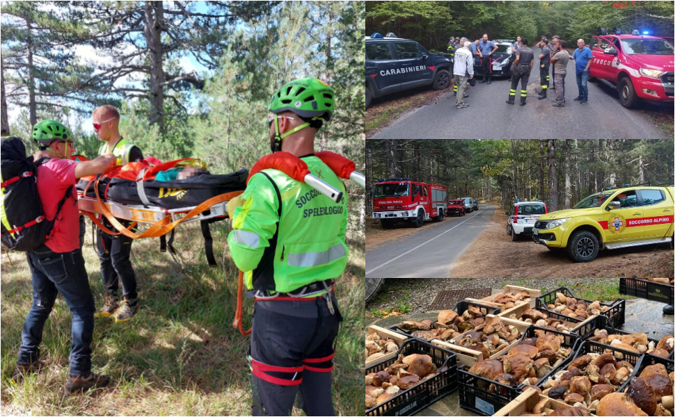 Soccorso fungaiolo - funghi soccorsi