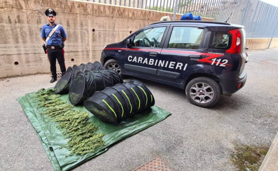 carabinieri nardodipace marijuana