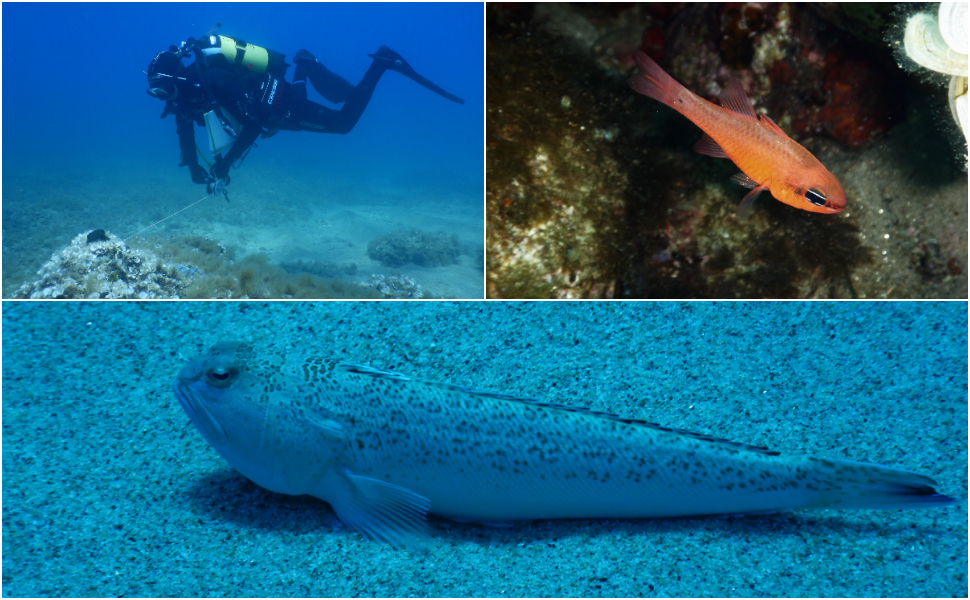 casa sabbia costa calabrese