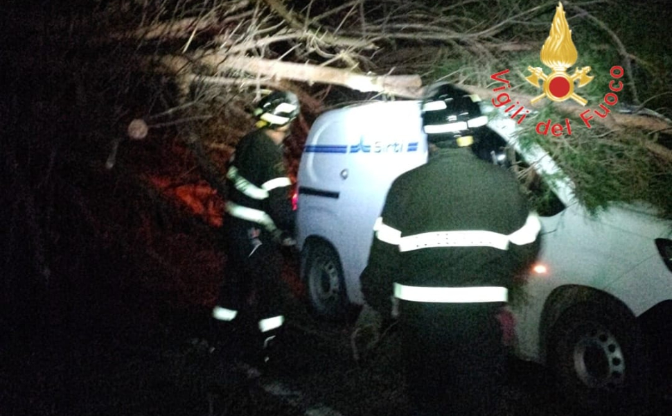 furgone-ditta-colpito-da-albero