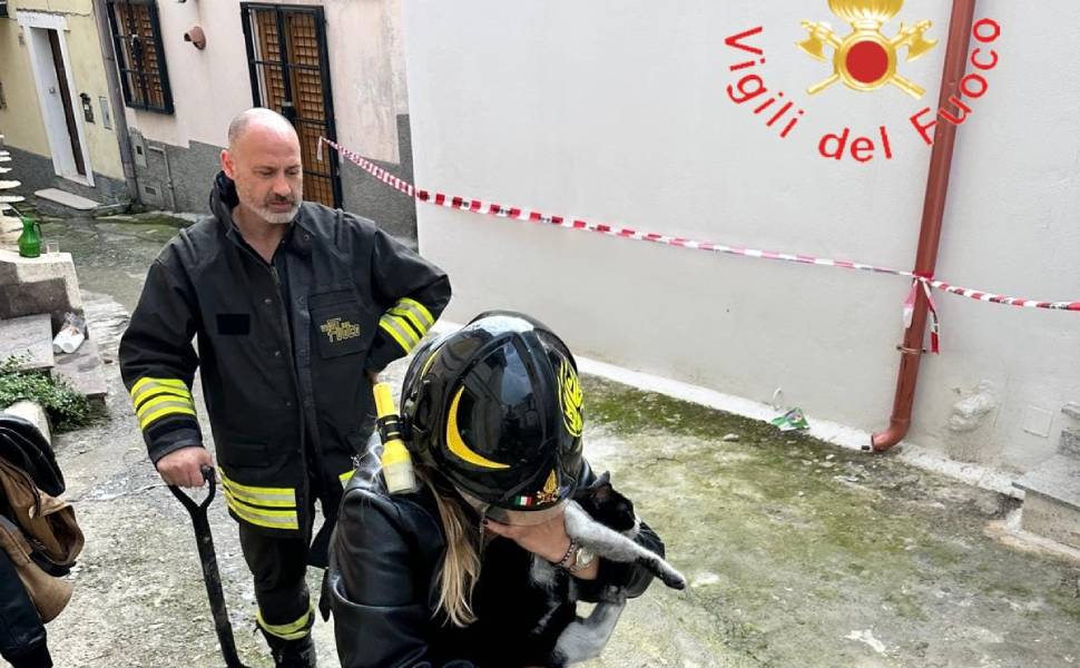 incendio abitazione cz gattini