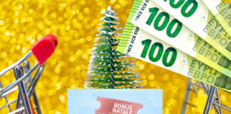 Bonus Natale 2024 100 euro