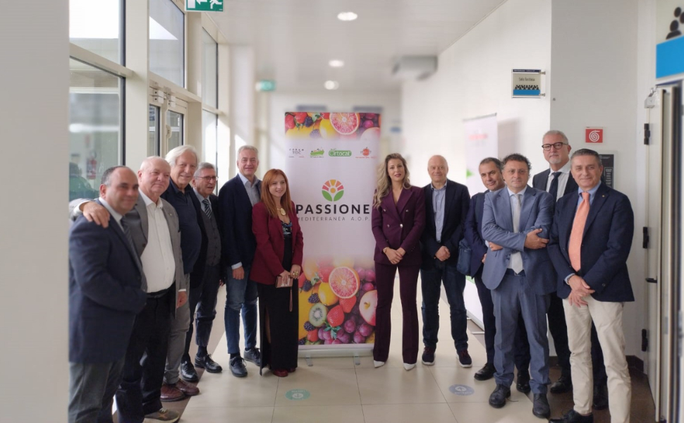 Passione-Mediterranea