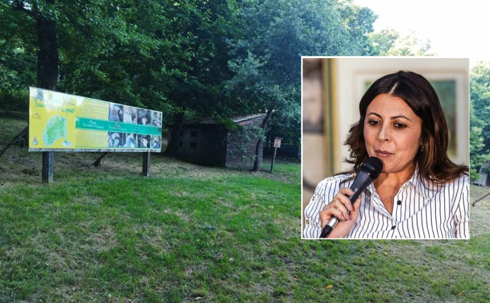 area faunistica rapaci acquaformosa sindaca milione