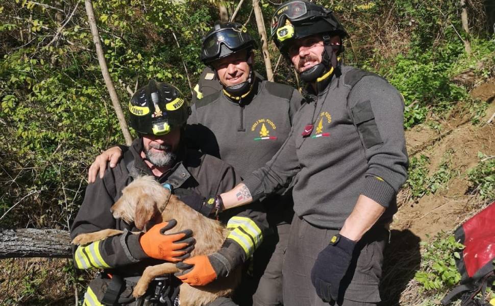cane caccia salvato caraffa vigili fuoco