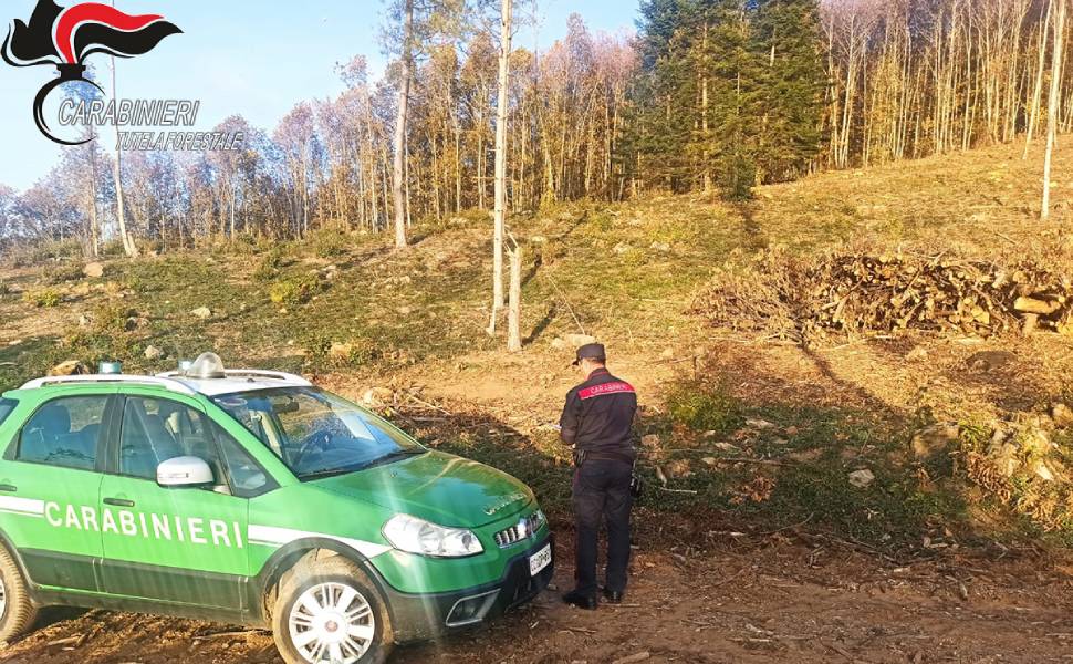 carabinieri forestali lago