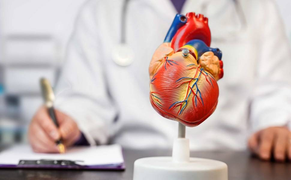 cardiologia generico