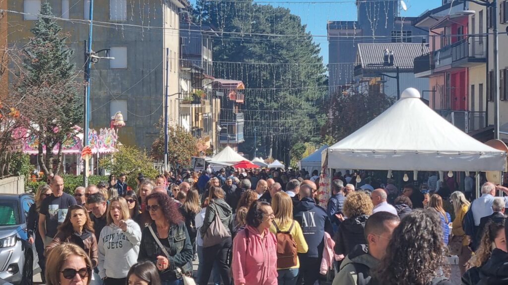 Camigliatello: per "Autunno in Sila" oltre 100mila visitatori. «Turisti provenienti da tutto il Sud Italia» 9 foto sila autunno