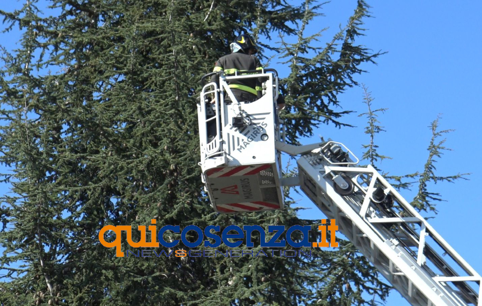 vigili-del-fuoco-salvano-35enne-a-Casali-del-Manco