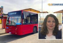 Bus-Amaco alessandra bresciani