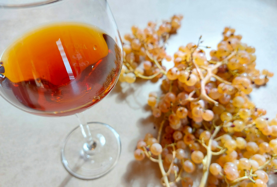 Moscato passito Saracena
