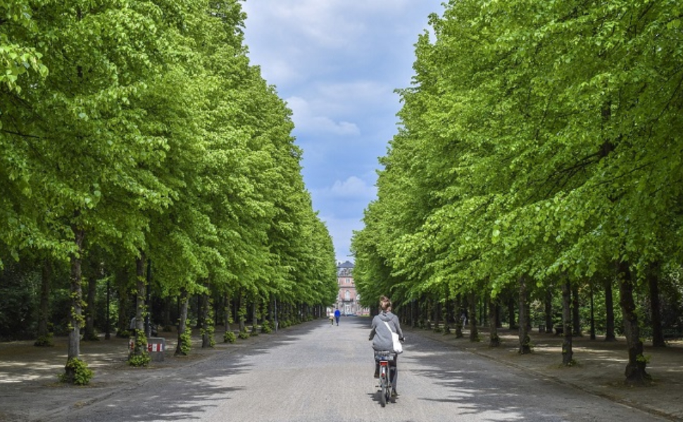 riforestazione-urbana