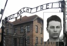 Auschwitz Arpad Weisz