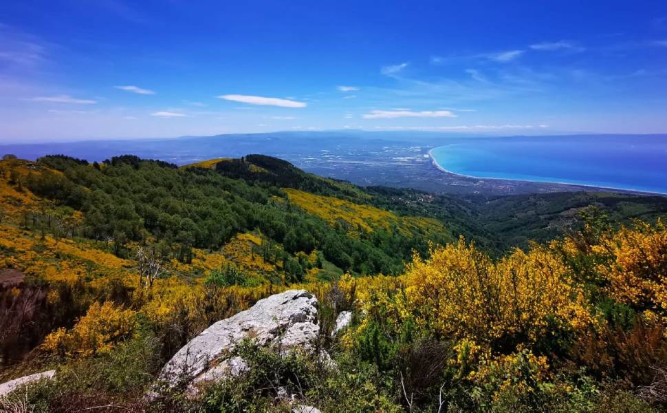 Golfo di Sant'Eufemia visto da I Faghi di Gizzeria