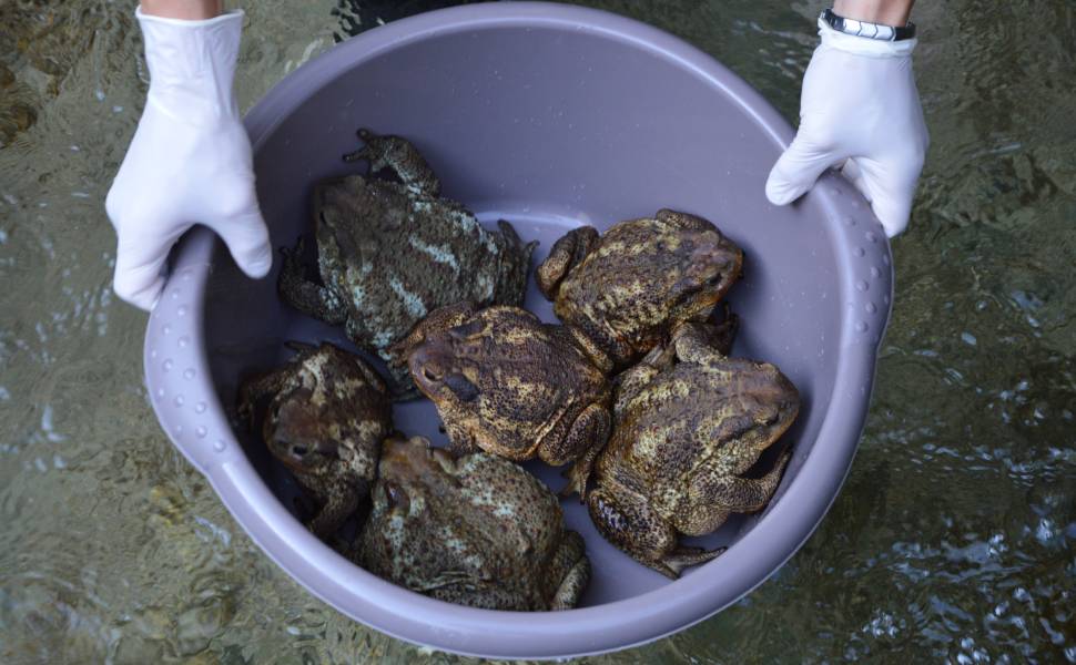 Salvataggio Sebastian Colnaghi 01