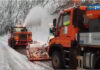 neve-e-alberi-nel-cosentino