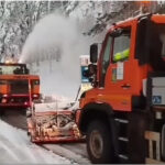 neve-e-alberi-nel-cosentino