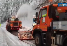 neve-e-alberi-nel-cosentino