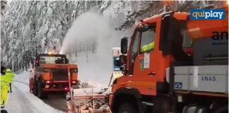 neve-e-alberi-nel-cosentino