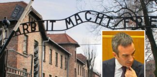 occhiuto dichiarazioni shoah