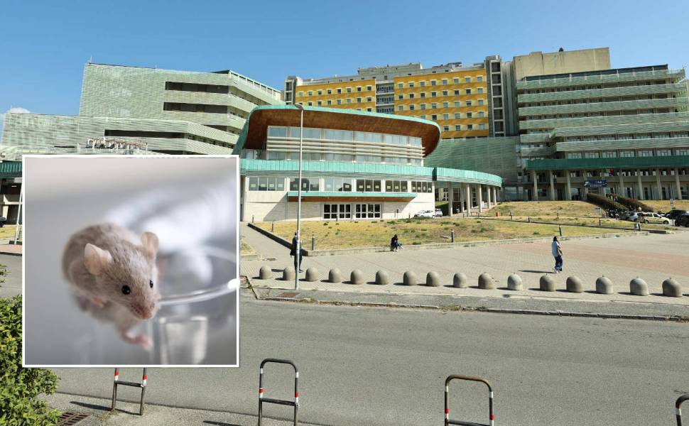 universita magna graecia - laboratori