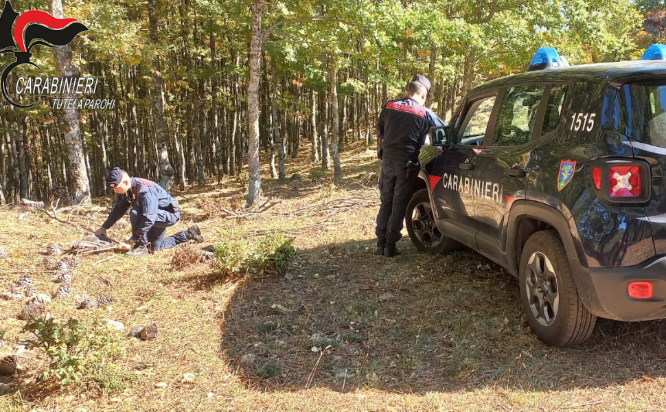 carabinieri-tutela-parchi.j
