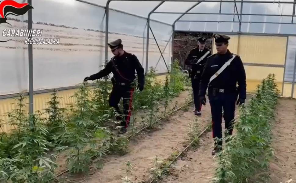 fabbrica droga carabinieri