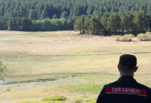 lago arvo carabinieri