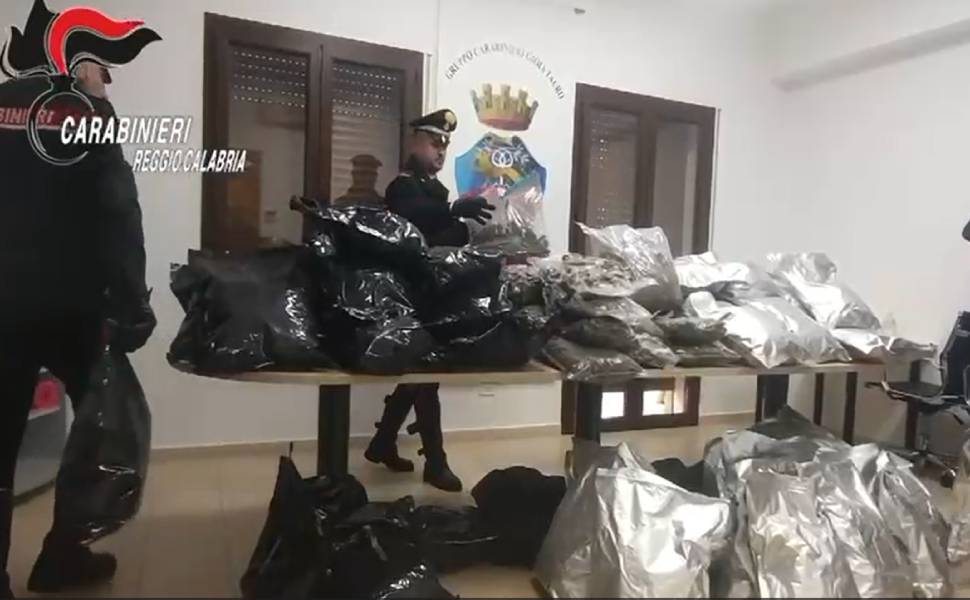 ottanta chili marijuana