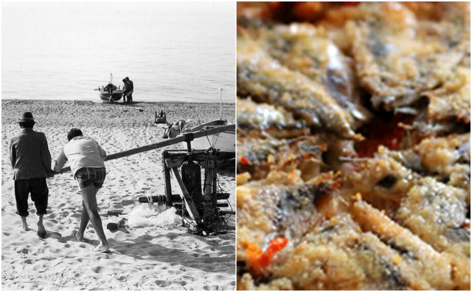 smulicata-alici-Calabria