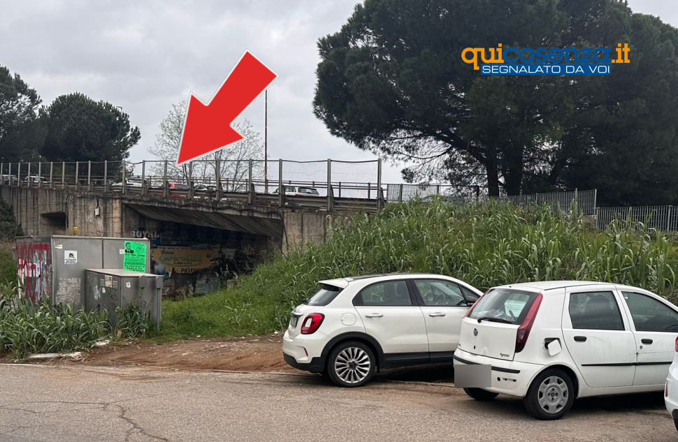 Auto parcheggi Rende cavalcavia via Pertini6