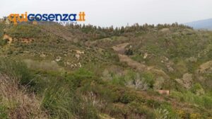 Discariche sant agostino rende 14